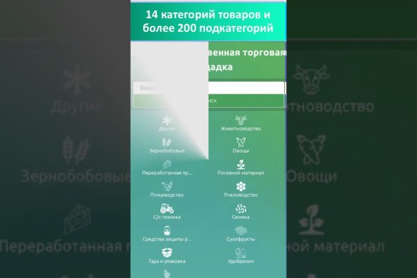 Kraken гидра
