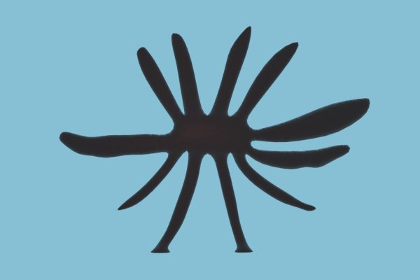 Кракен 17 at вход